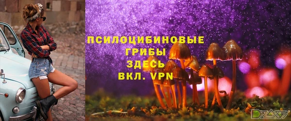 СК Верхний Тагил