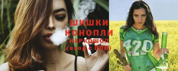 крисы Бронницы