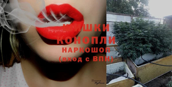 СК Верхний Тагил
